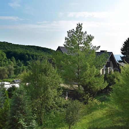 Lovely Holiday Home In The Thuringian Forest With Roof Terrace And Great View Bad Liebenstein Εξωτερικό φωτογραφία